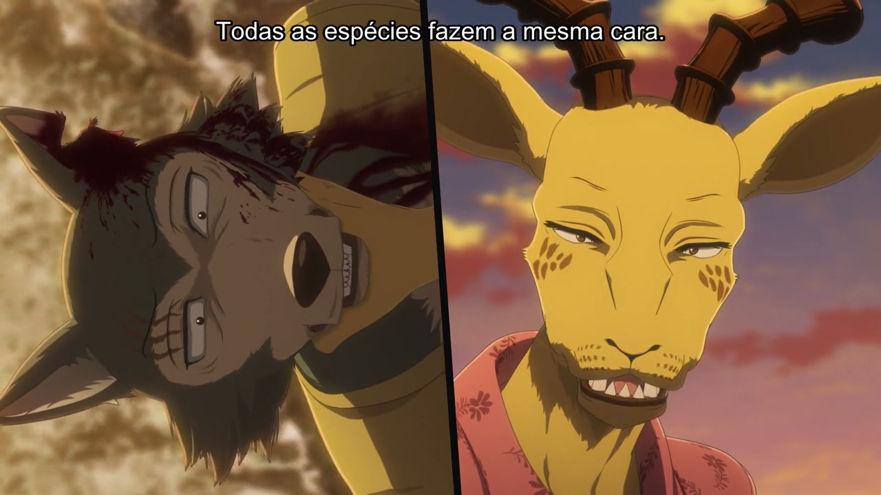 Episódio 013