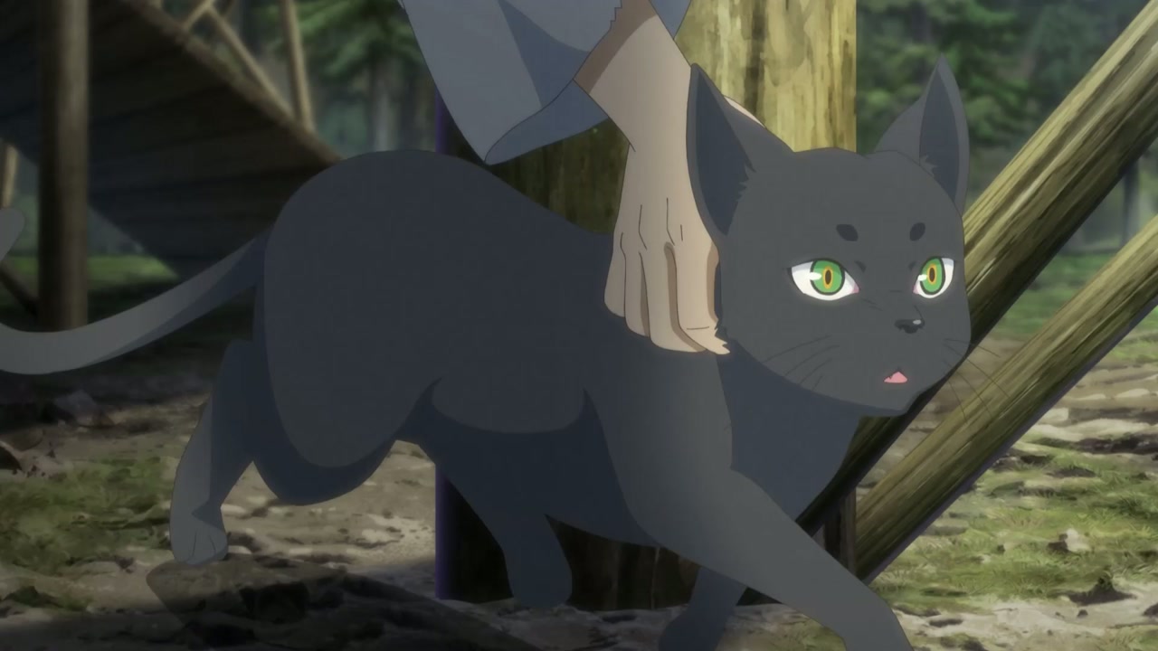 Episódio 004