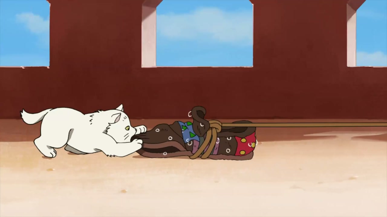 Episódio 005