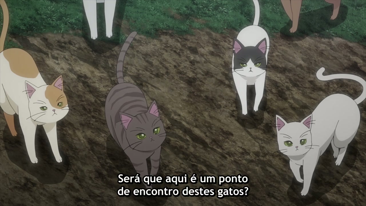 Episódio 010