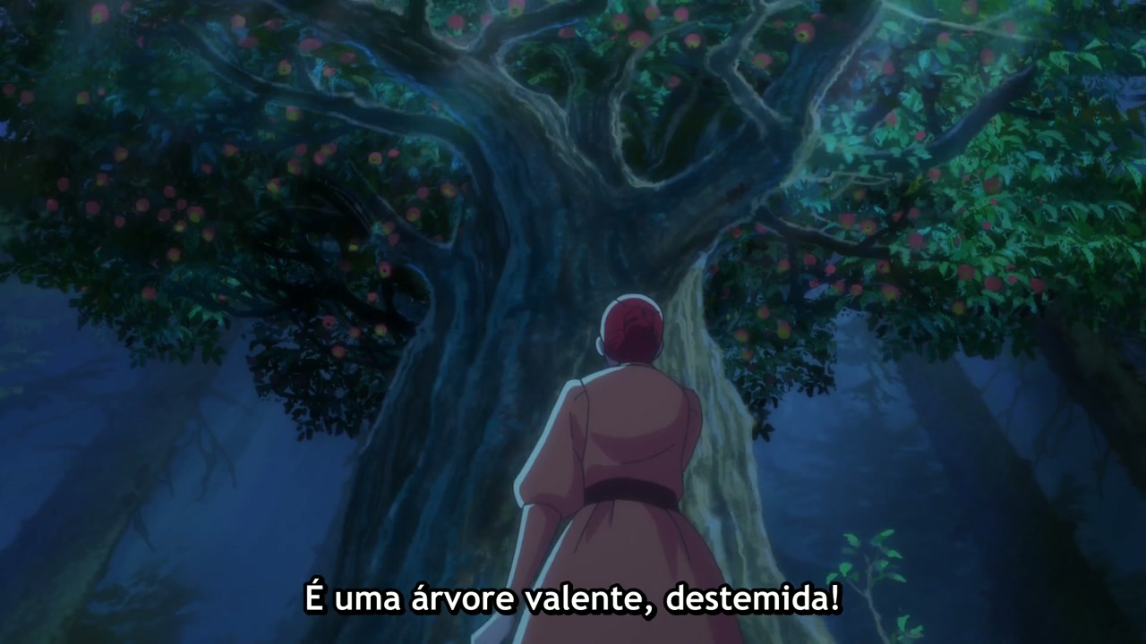 Episódio 016