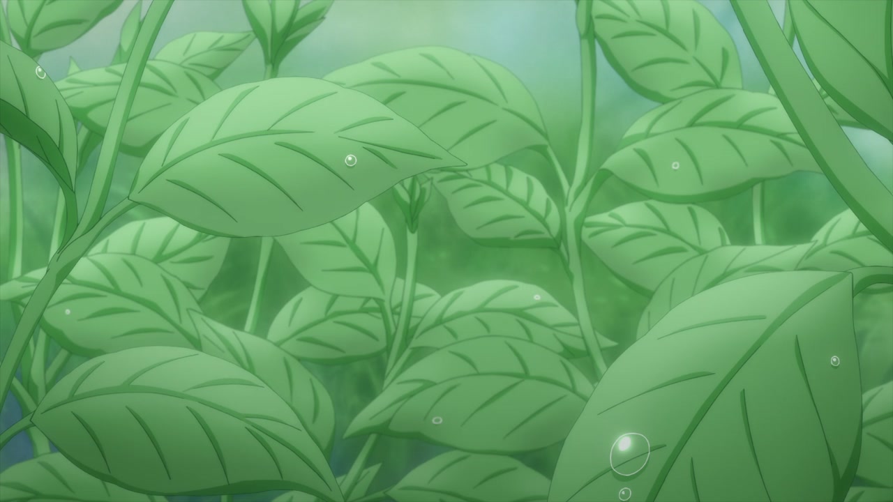 Episódio 002