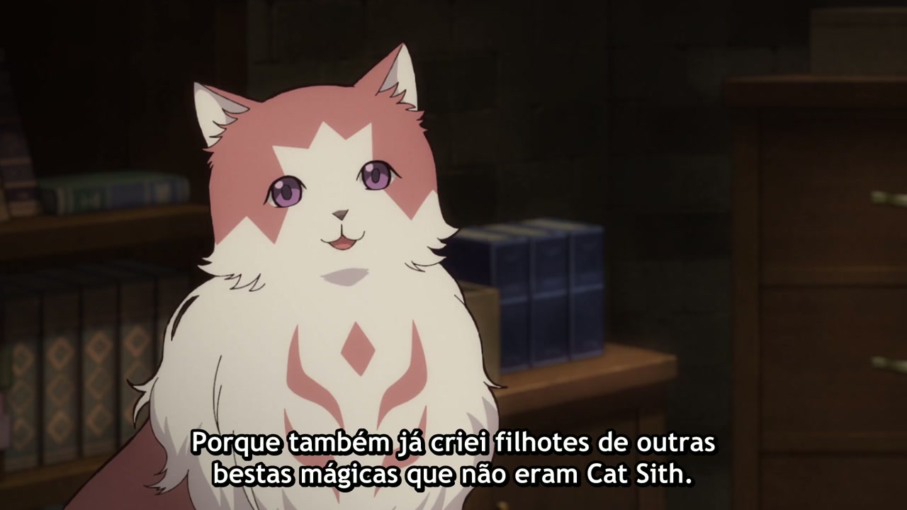 Episódio 002