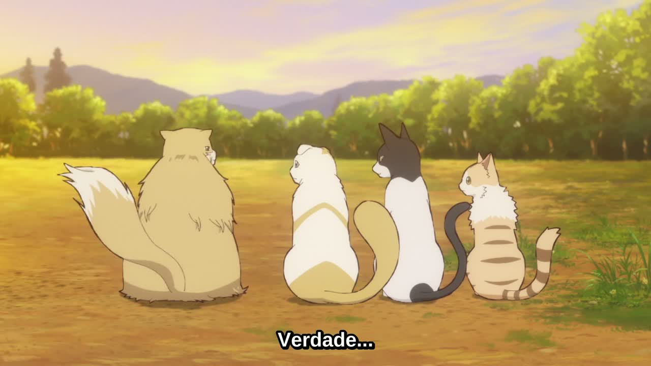Episódio 006