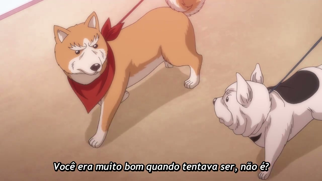 Episódio 011
