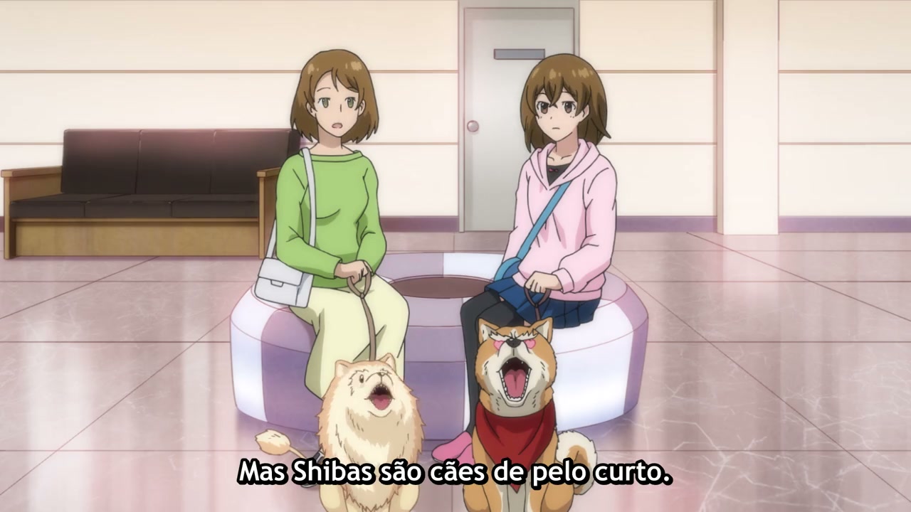 Episódio 010