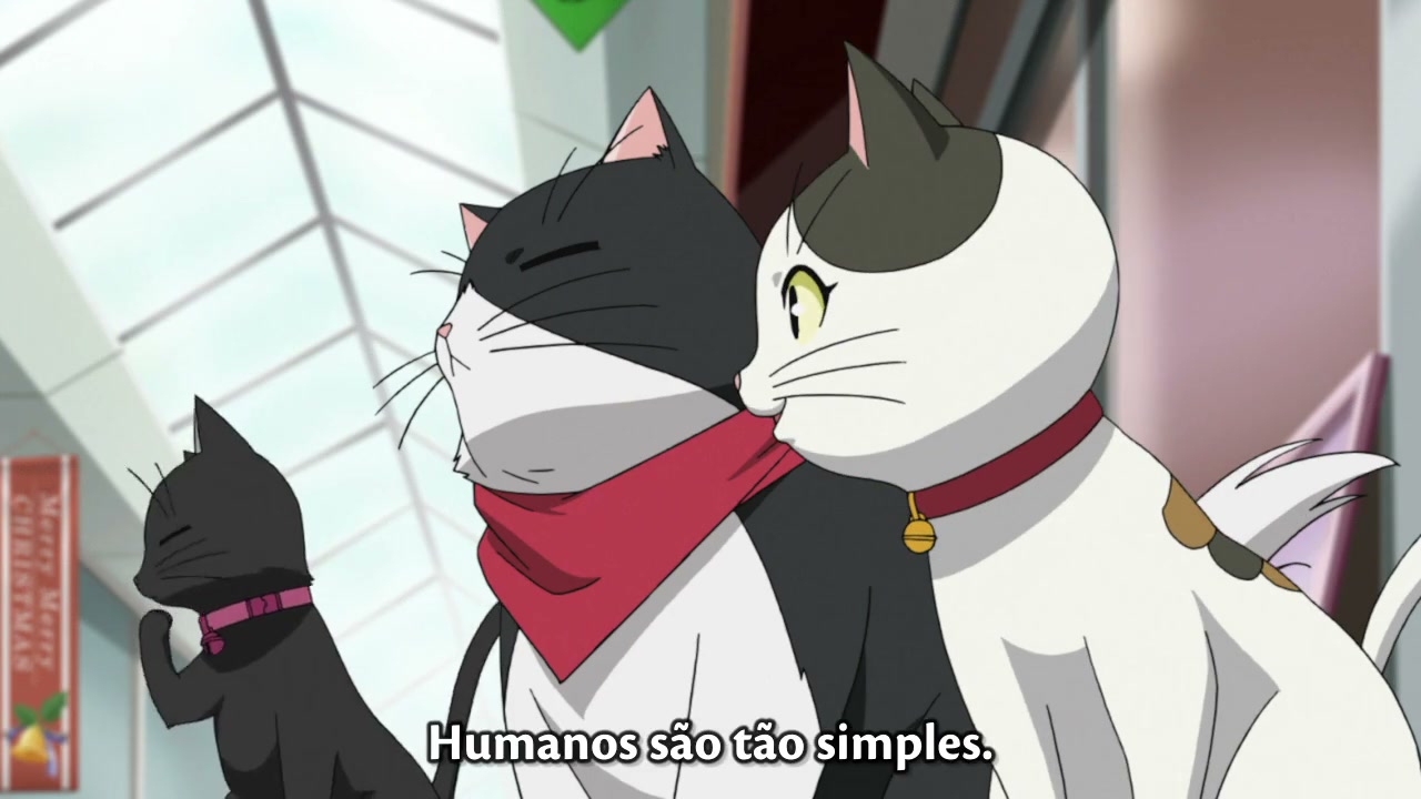Episódio 012