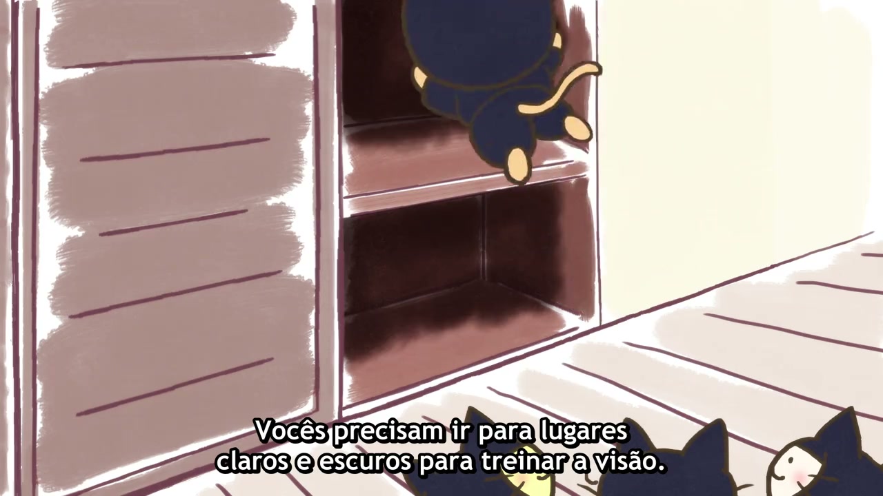Episódio 017