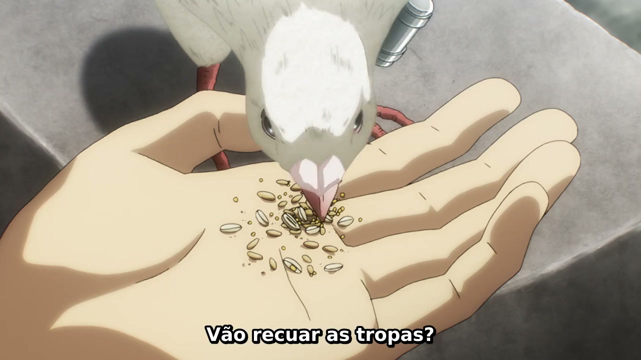 Episódio 008