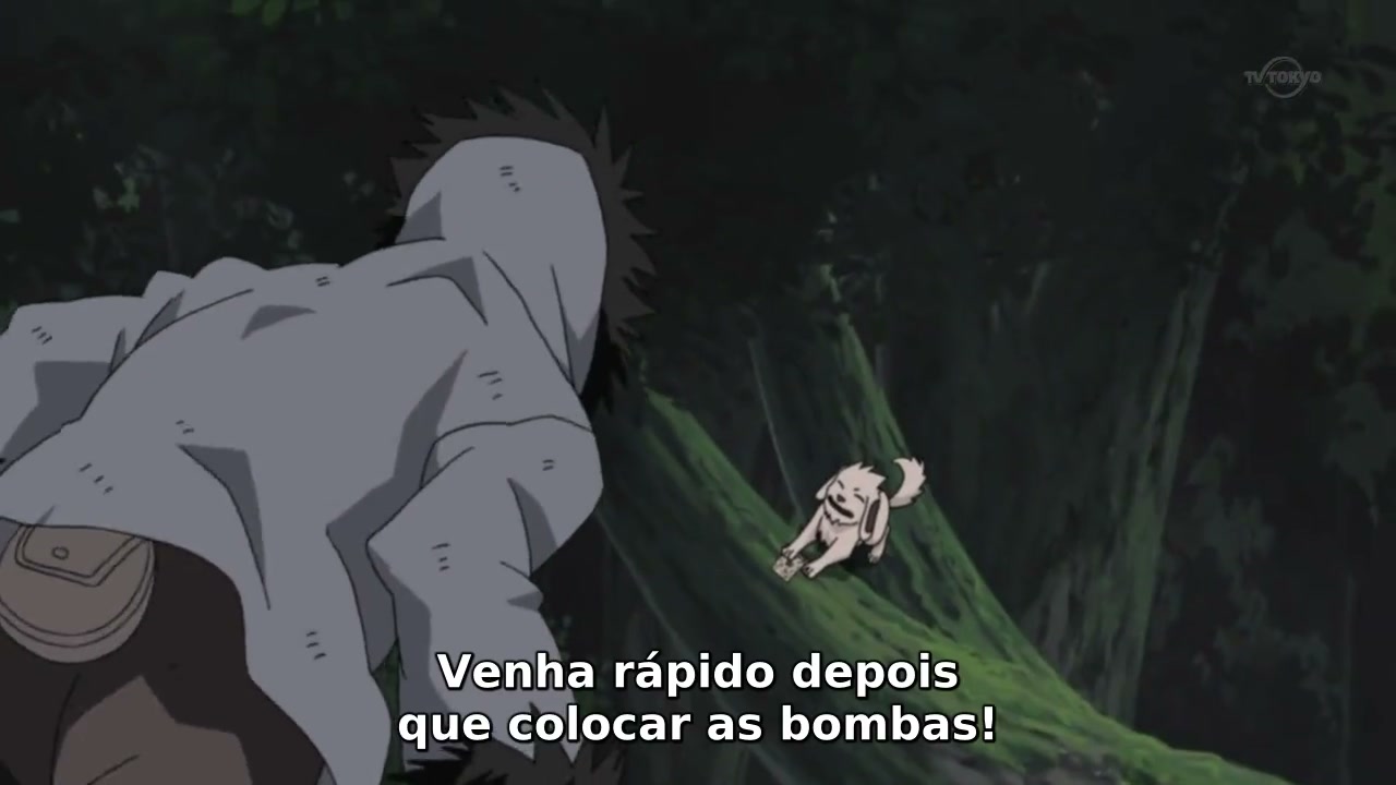 Episódio 260