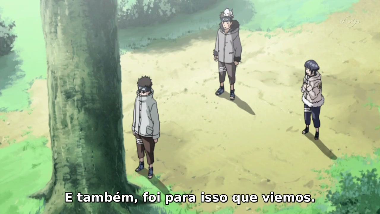 Episódio 236