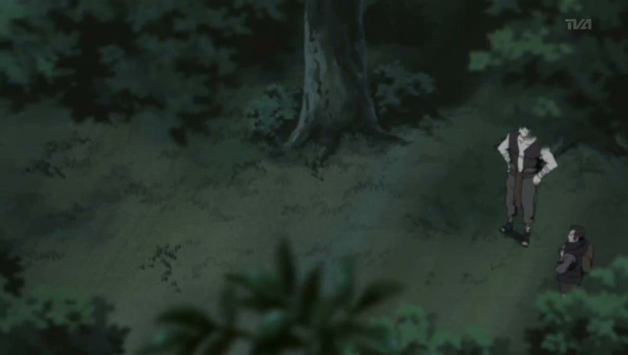 Episódio 146