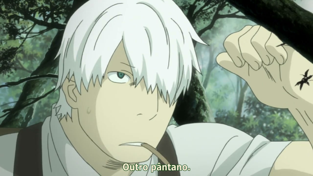 Episódio 005
