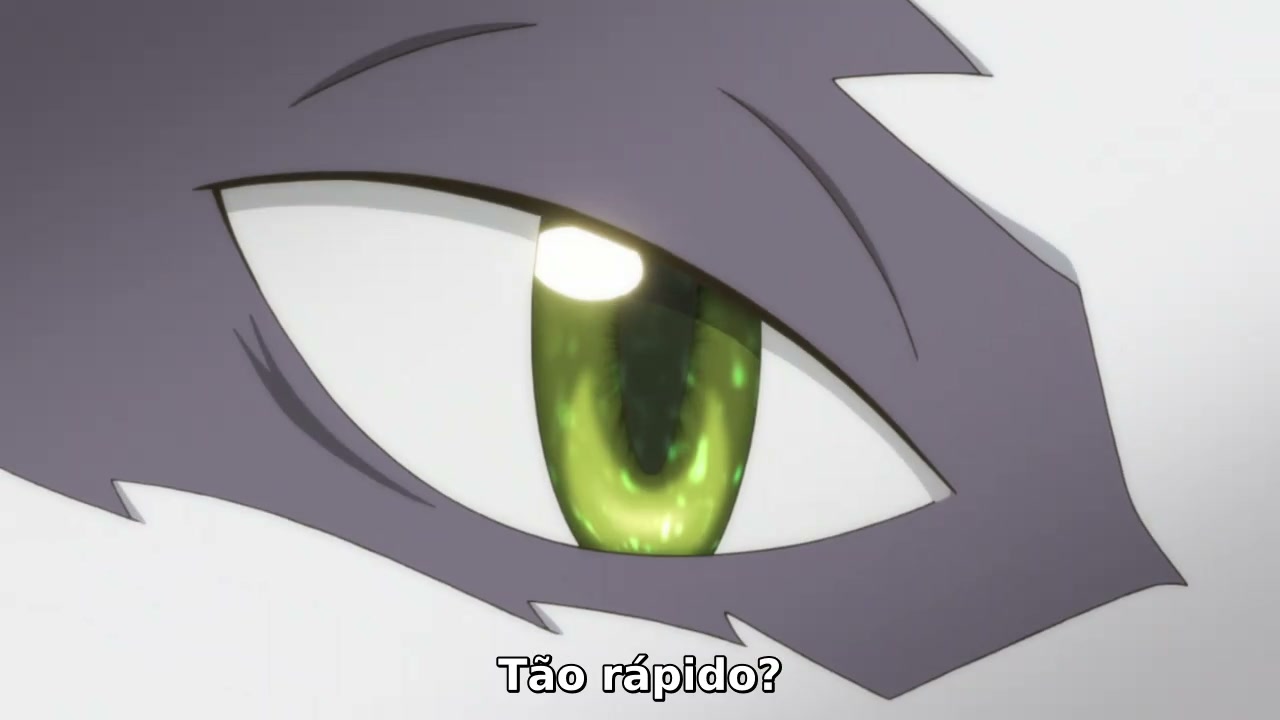 Episódio 003