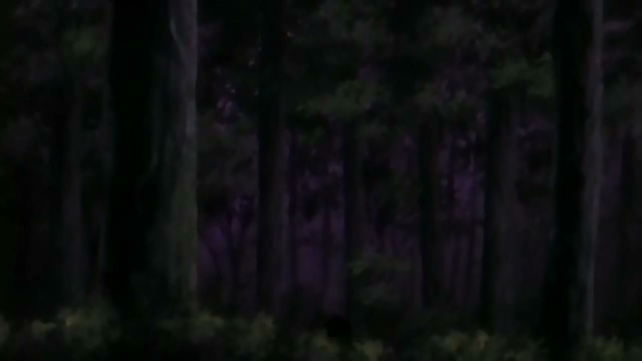 Episódio 016