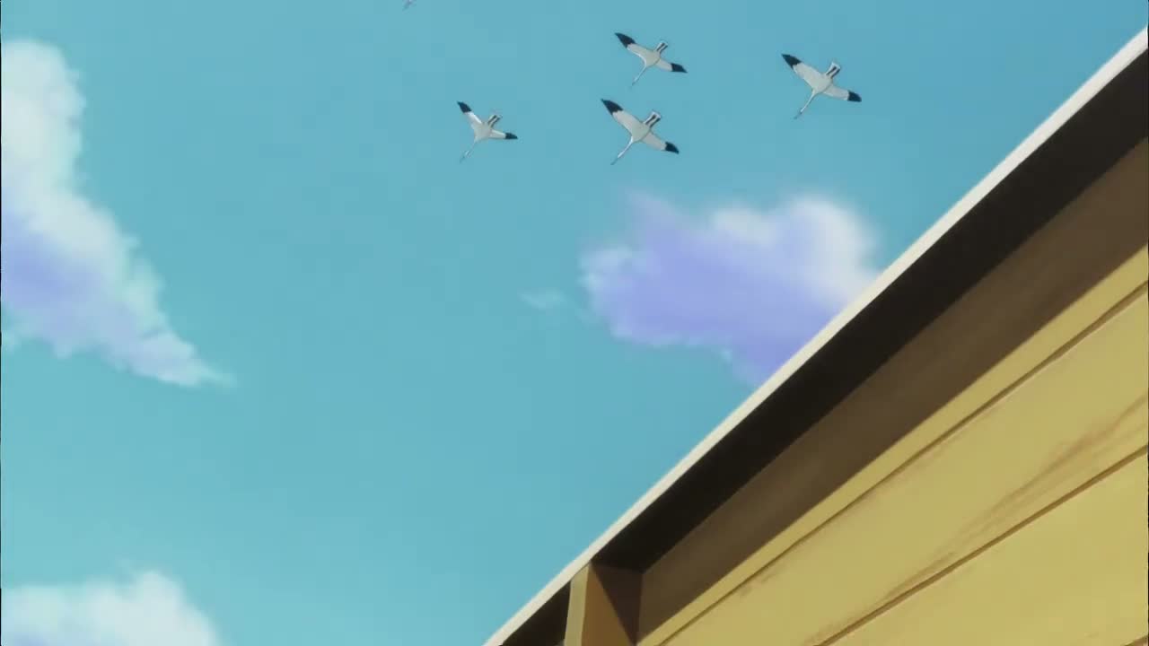 Episódio 014