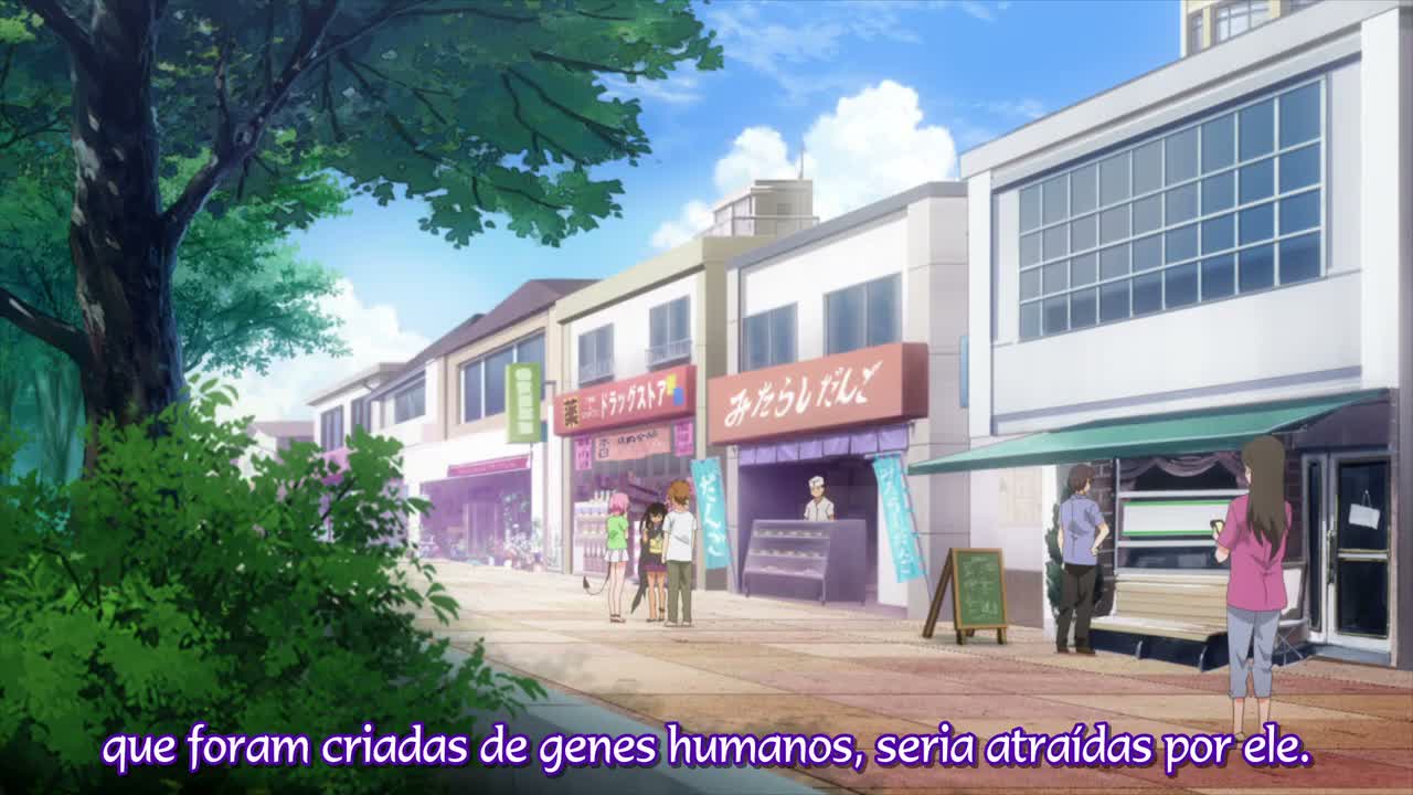 Episódio 006