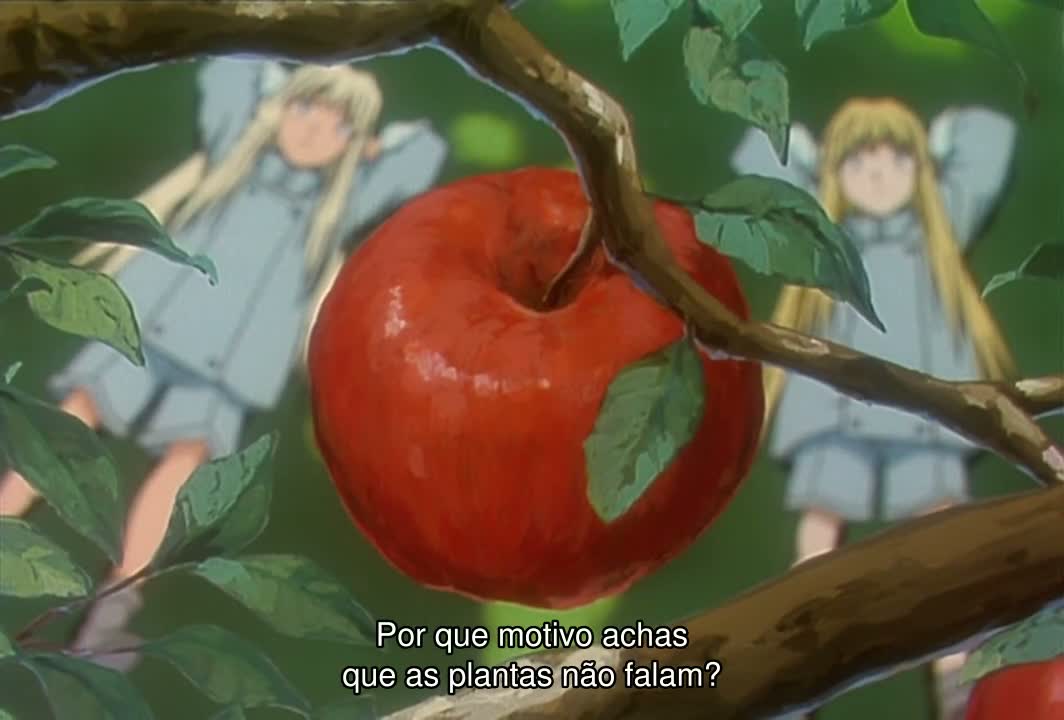 Episódio 017