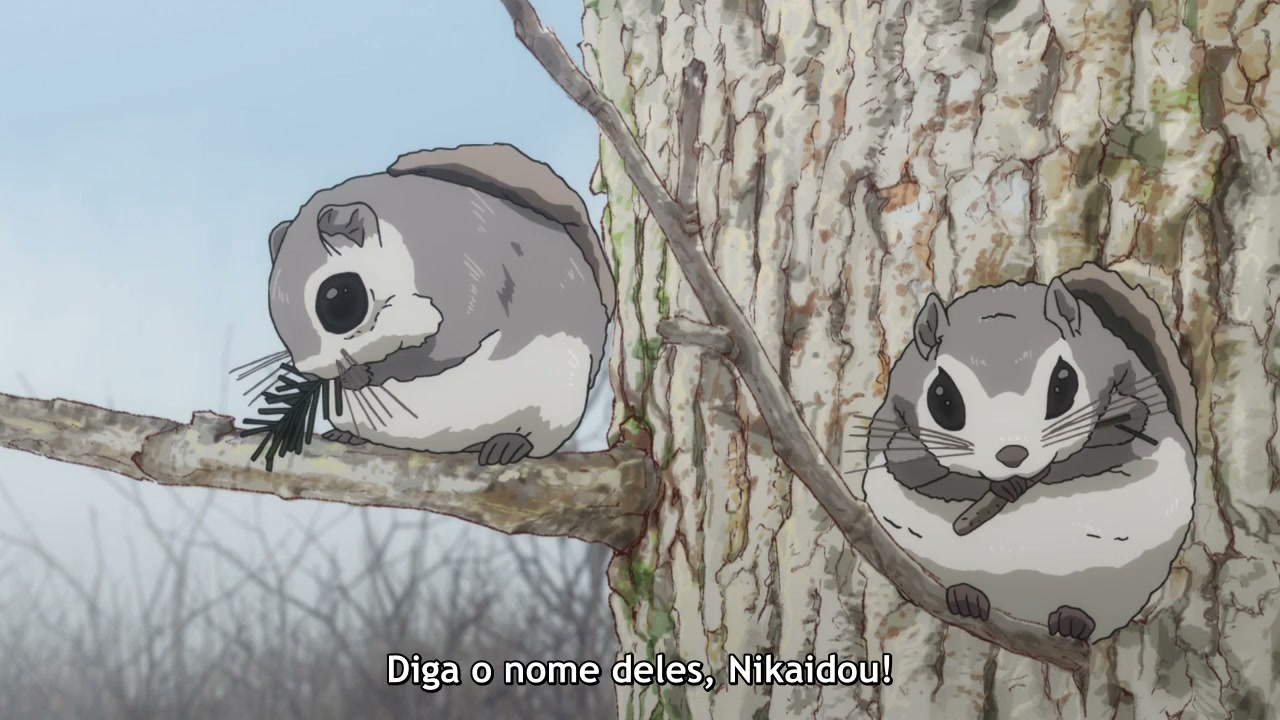 Episódio 010