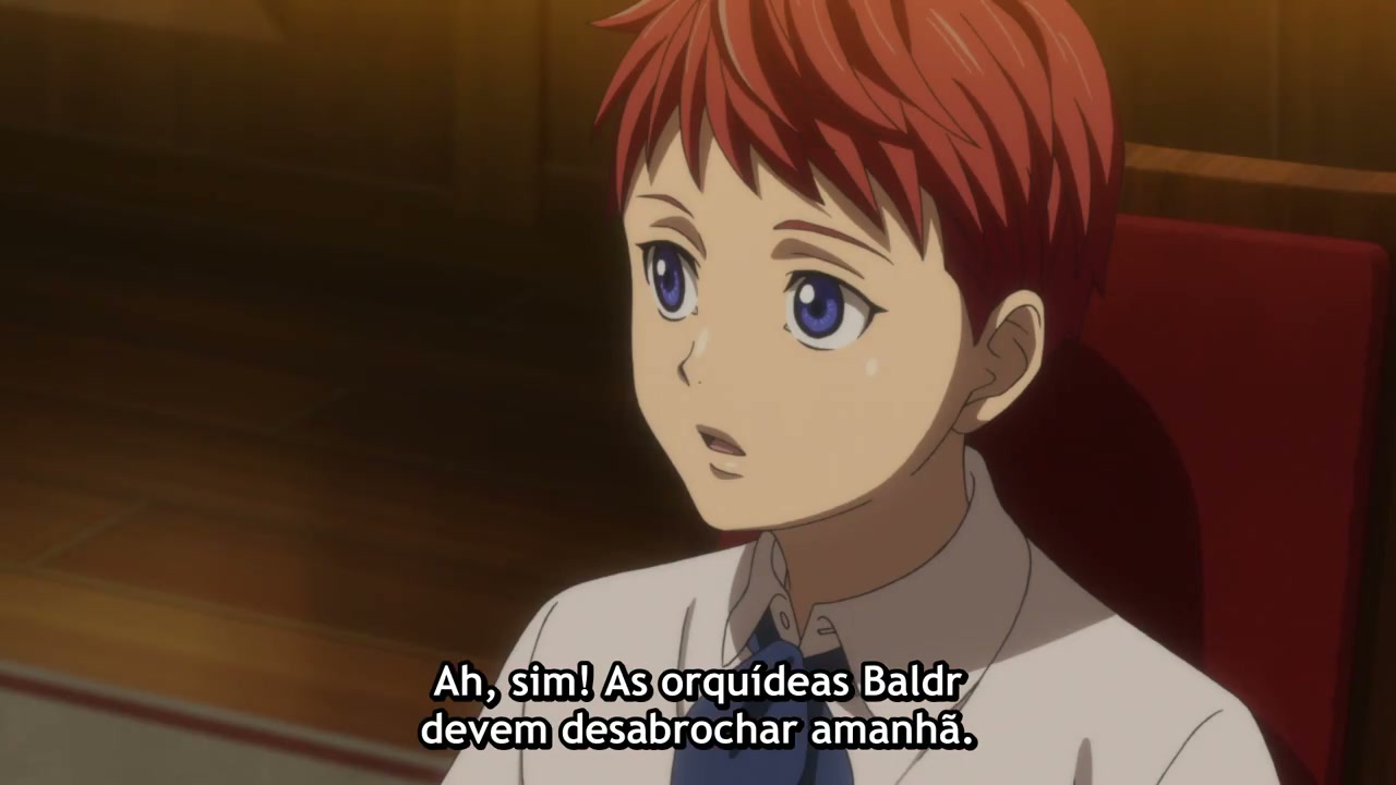 Episódio 003