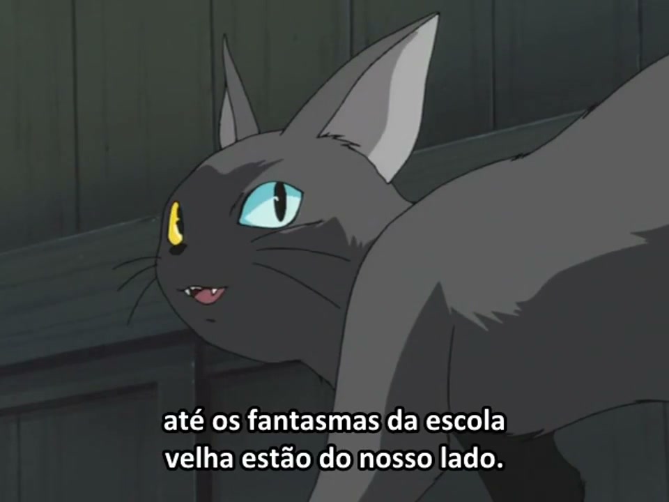 Episódio 013