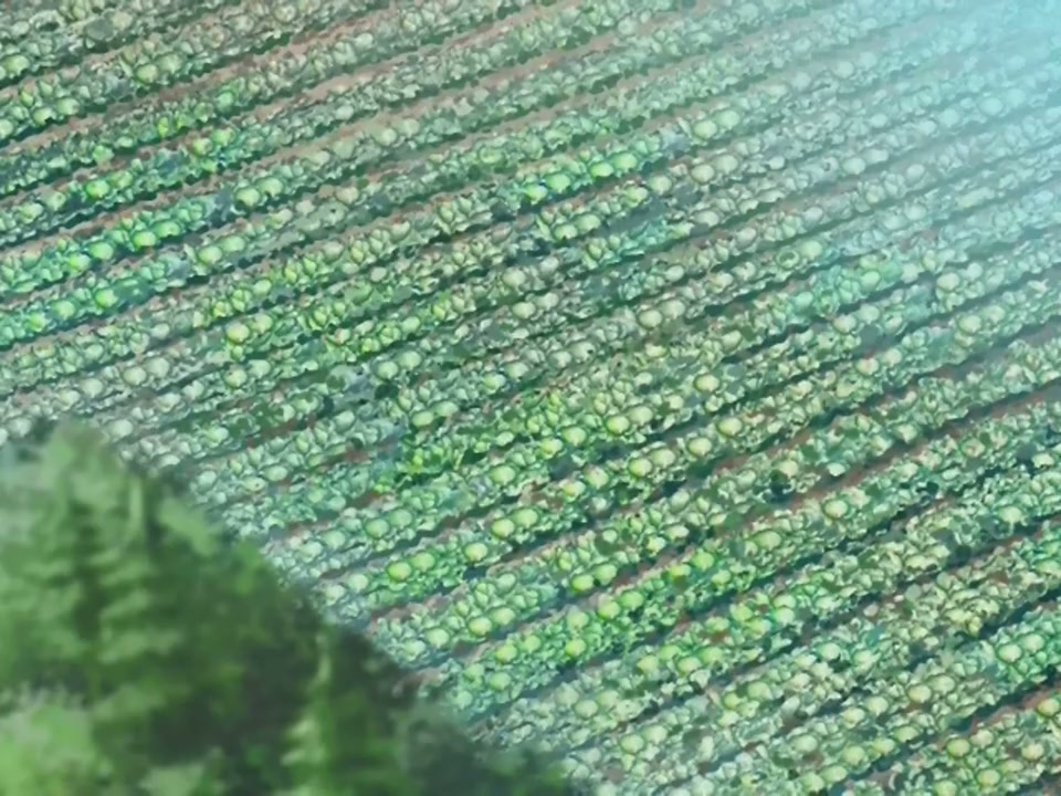 Episódio 004