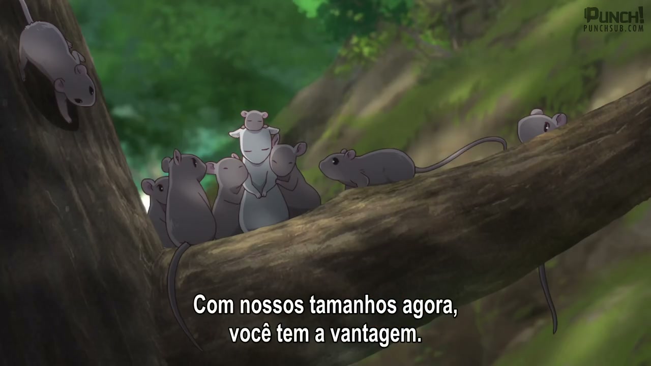 Episódio 015