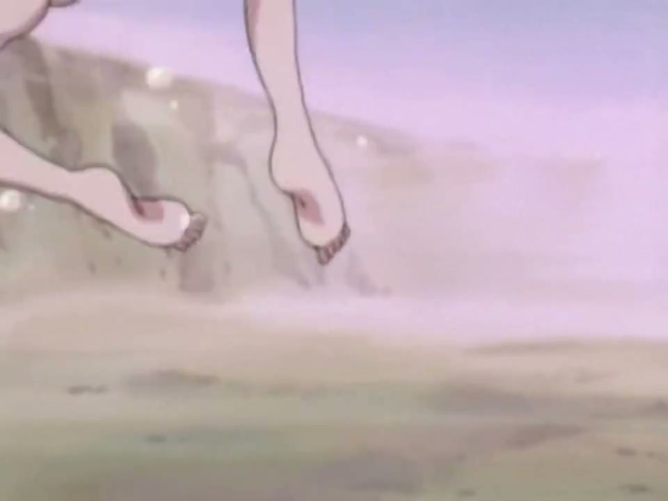 Episódio 005
