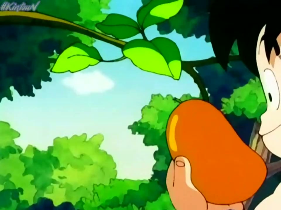 Episódio 033