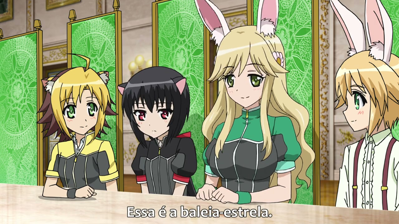Episódio 009