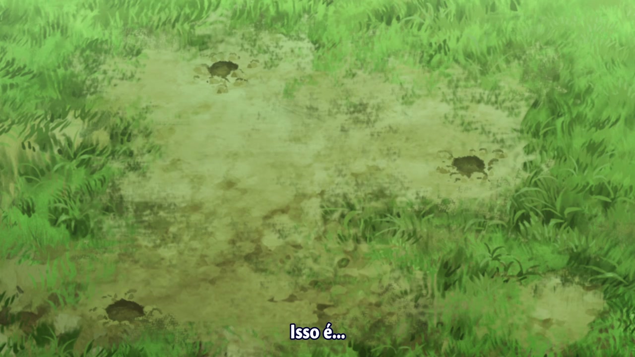 Episódio 903