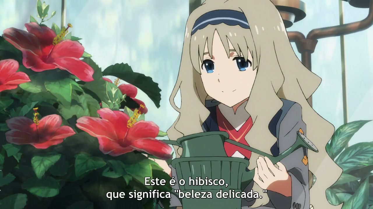 Episódio 008