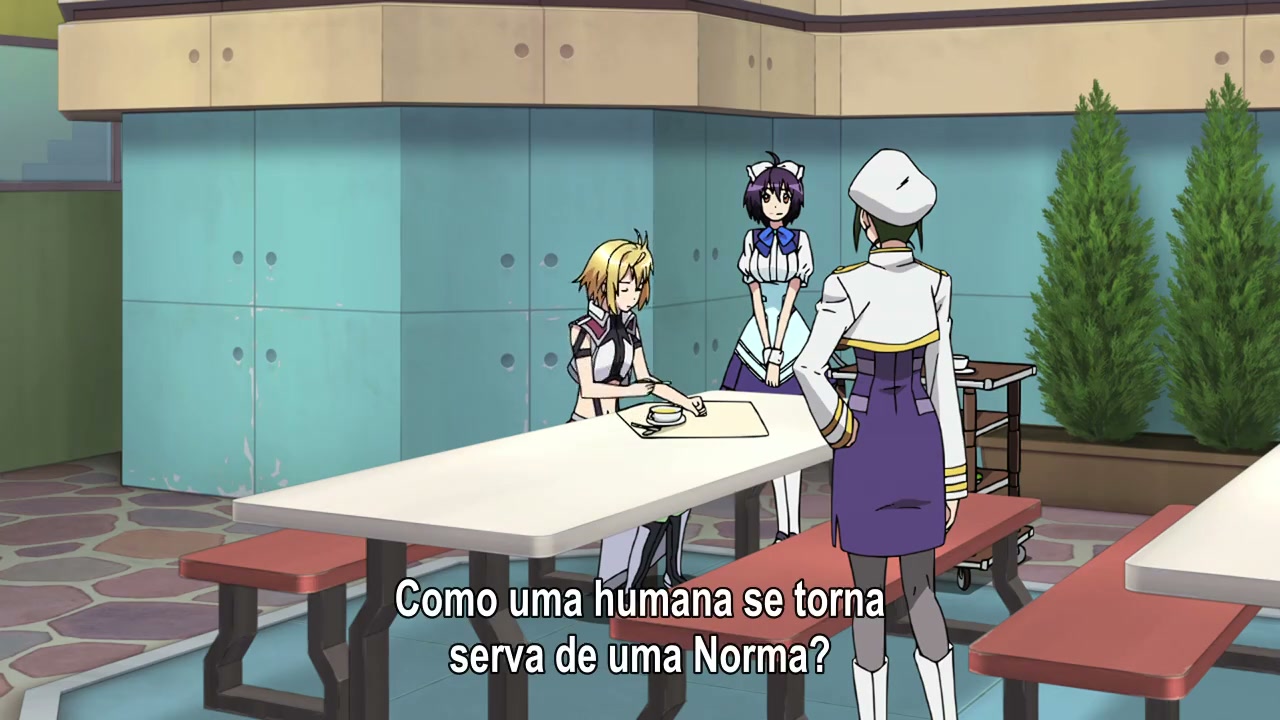 Episódio 007
