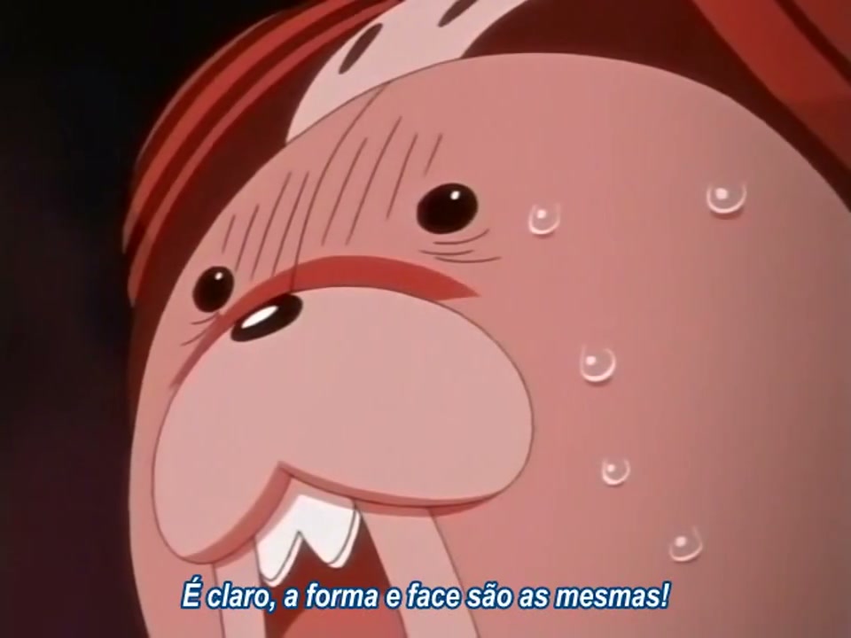 Episódio 050