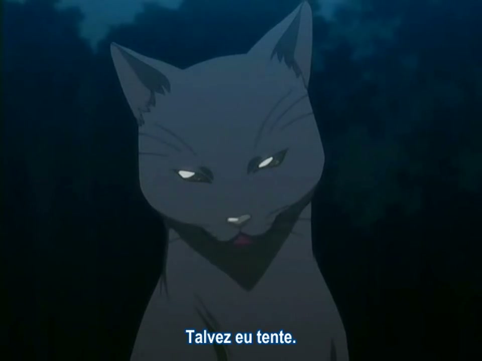 Episódio 025