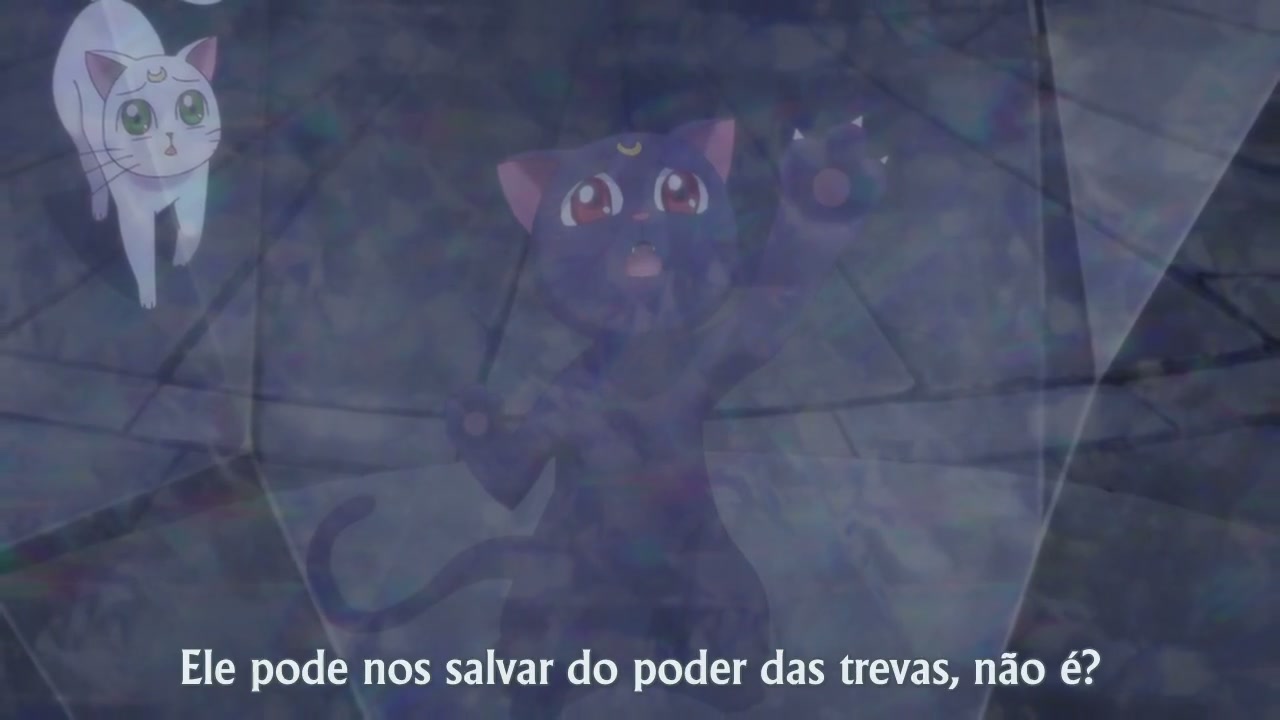 Episódio 013
