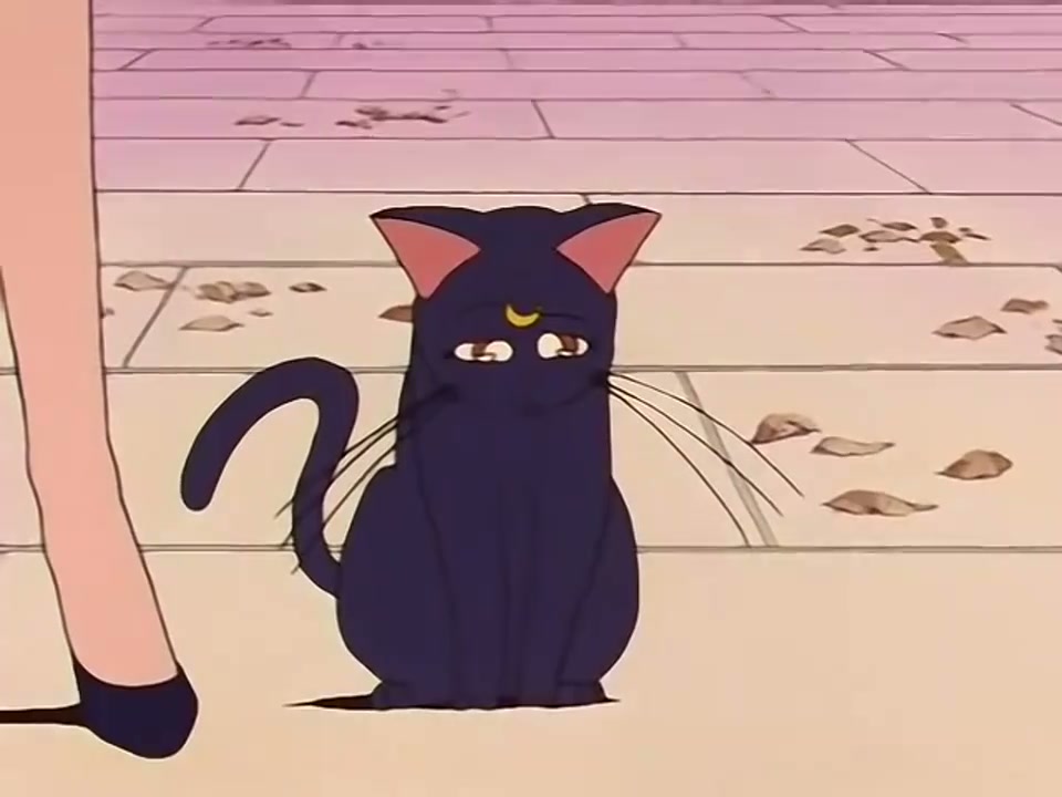 Episódio 034