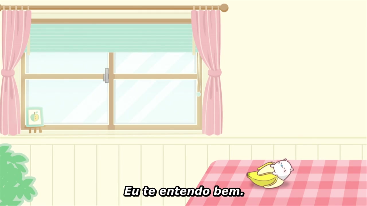 Episódio 008
