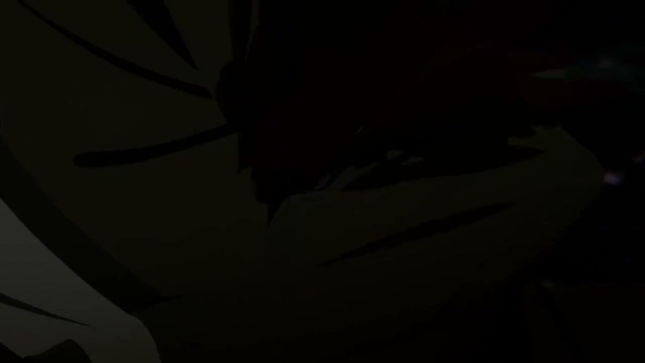 Episódio 004