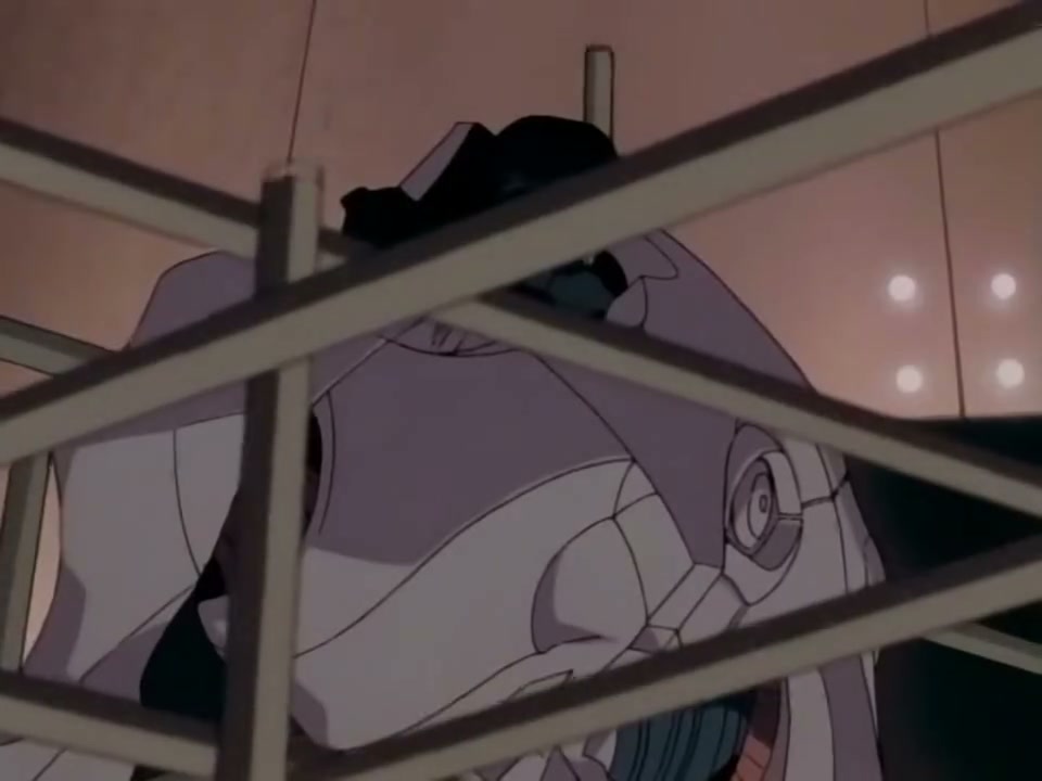 Episódio 007