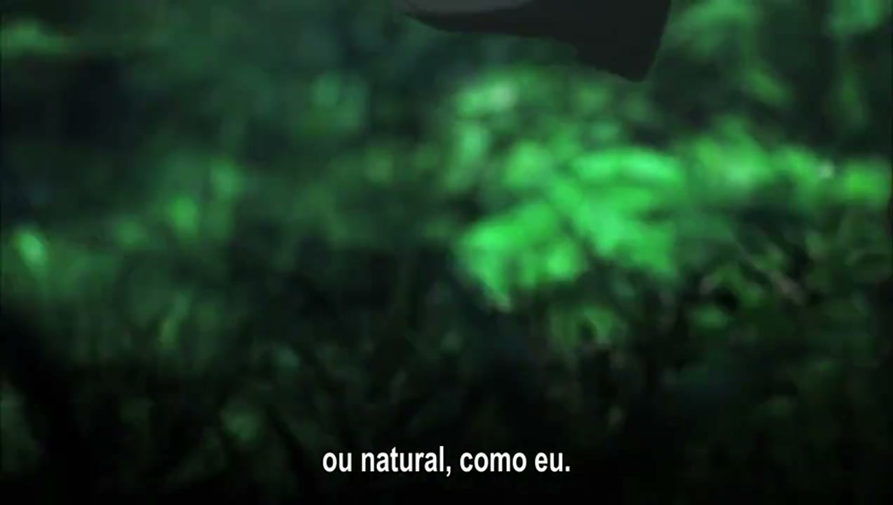 Episódio 007