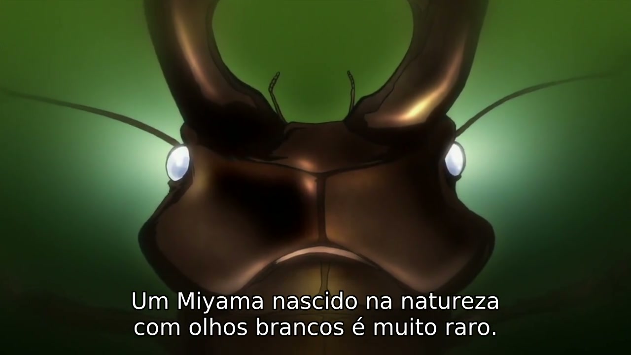 Episódio 017