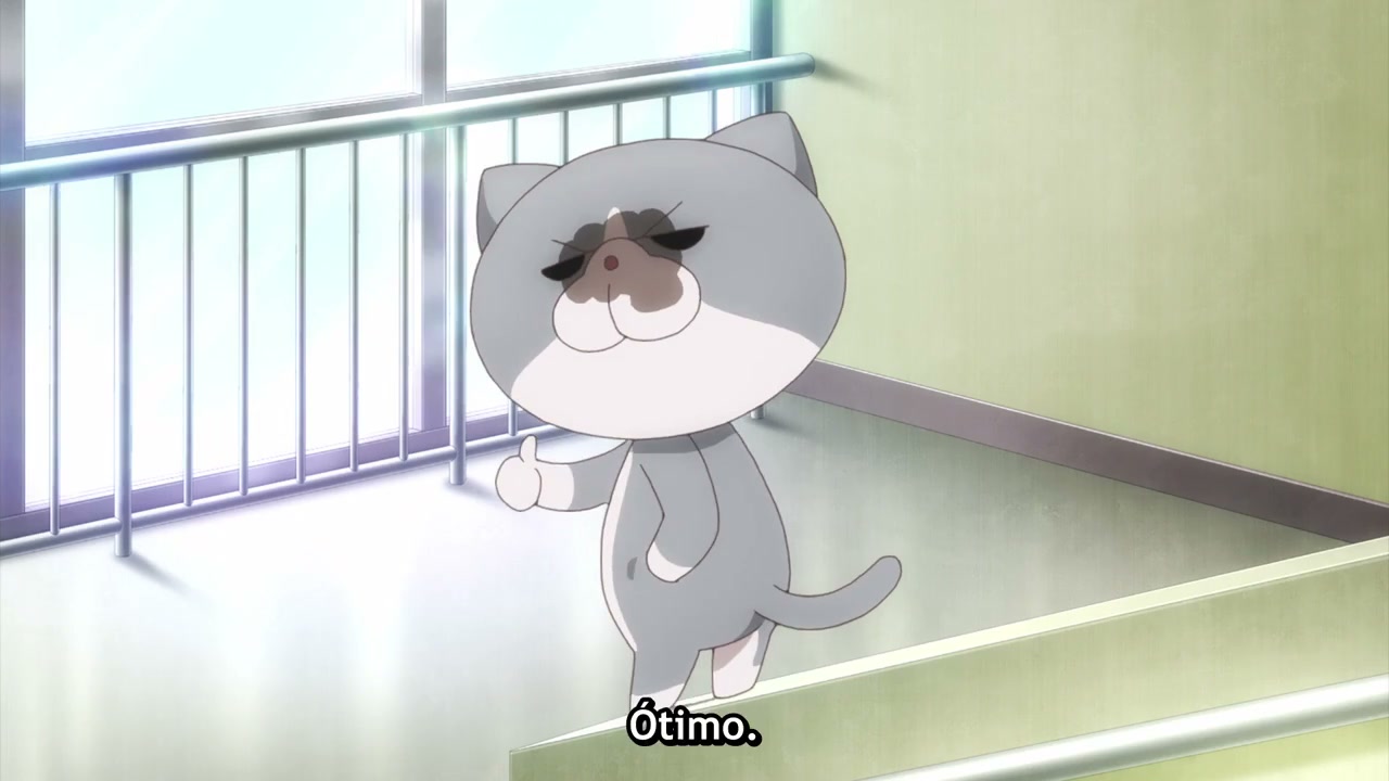 Episódio 008