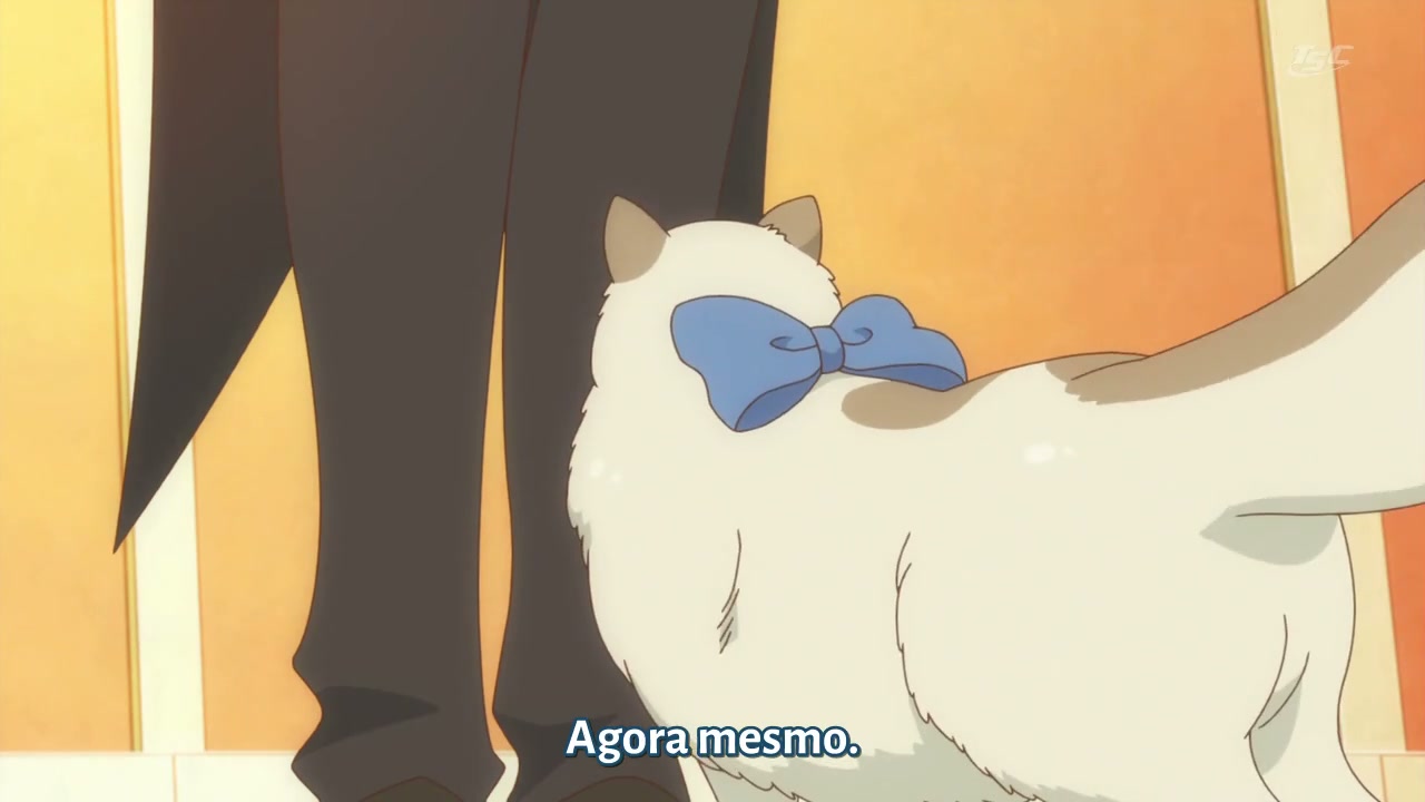Episódio 039