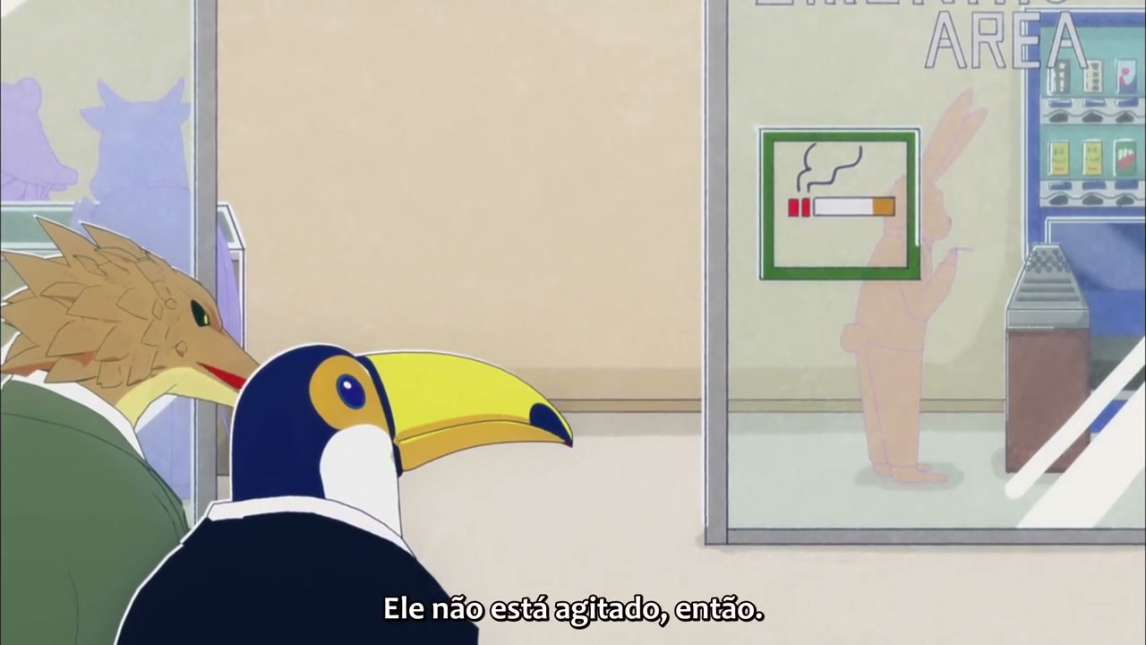 Episódio 008