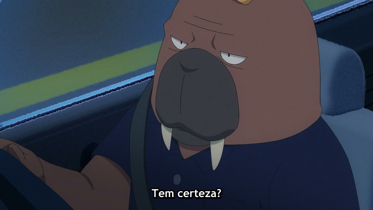 Episódio 005