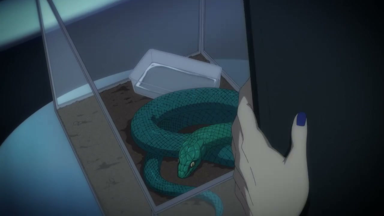 Episódio 009