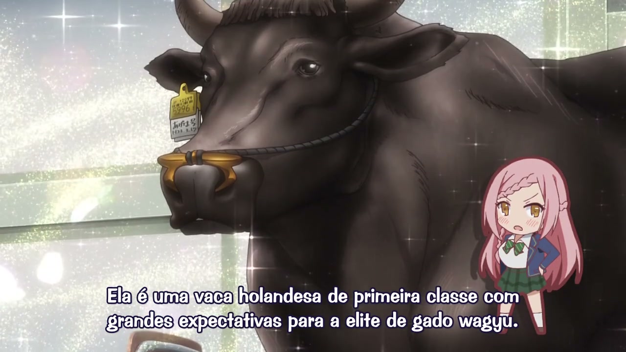 Episódio 001