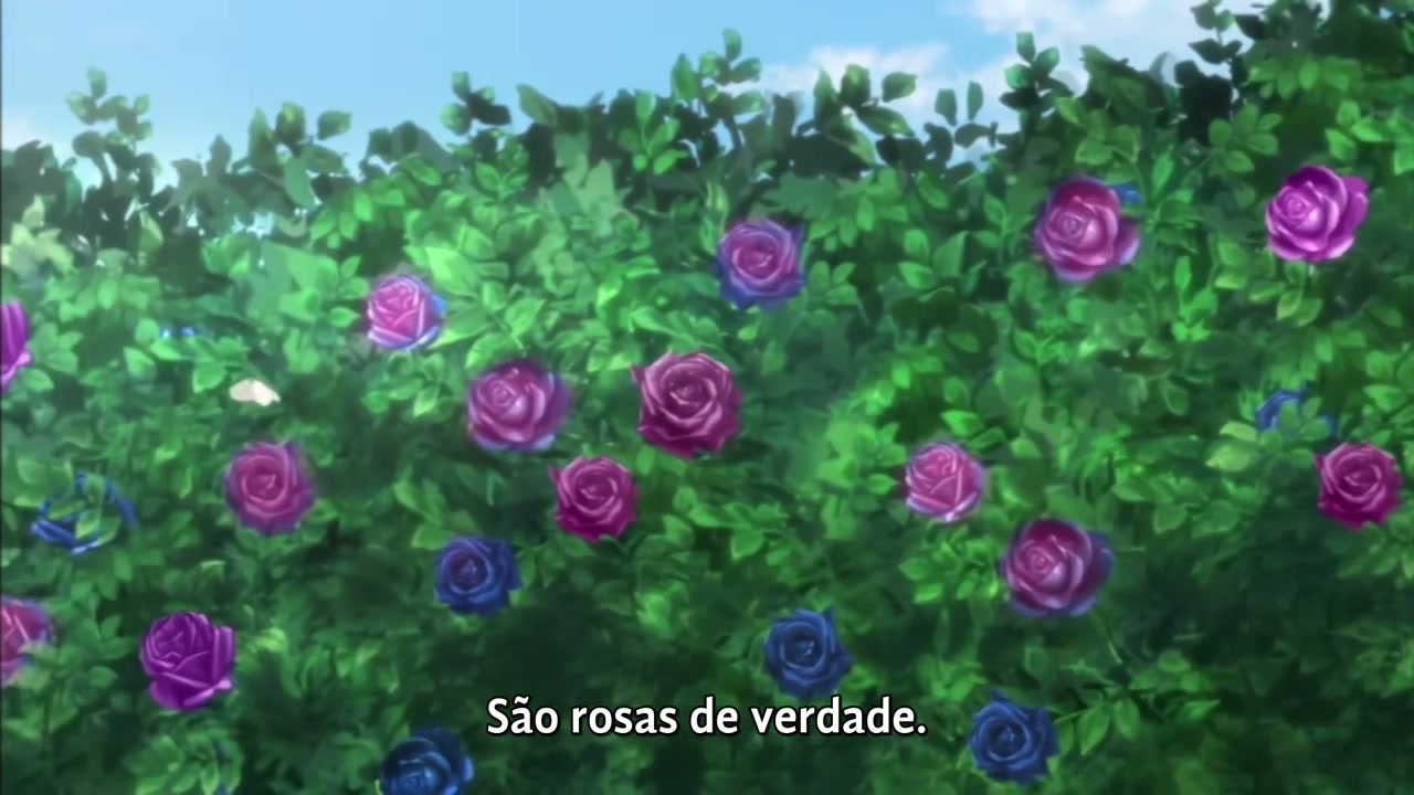 Episódio 006