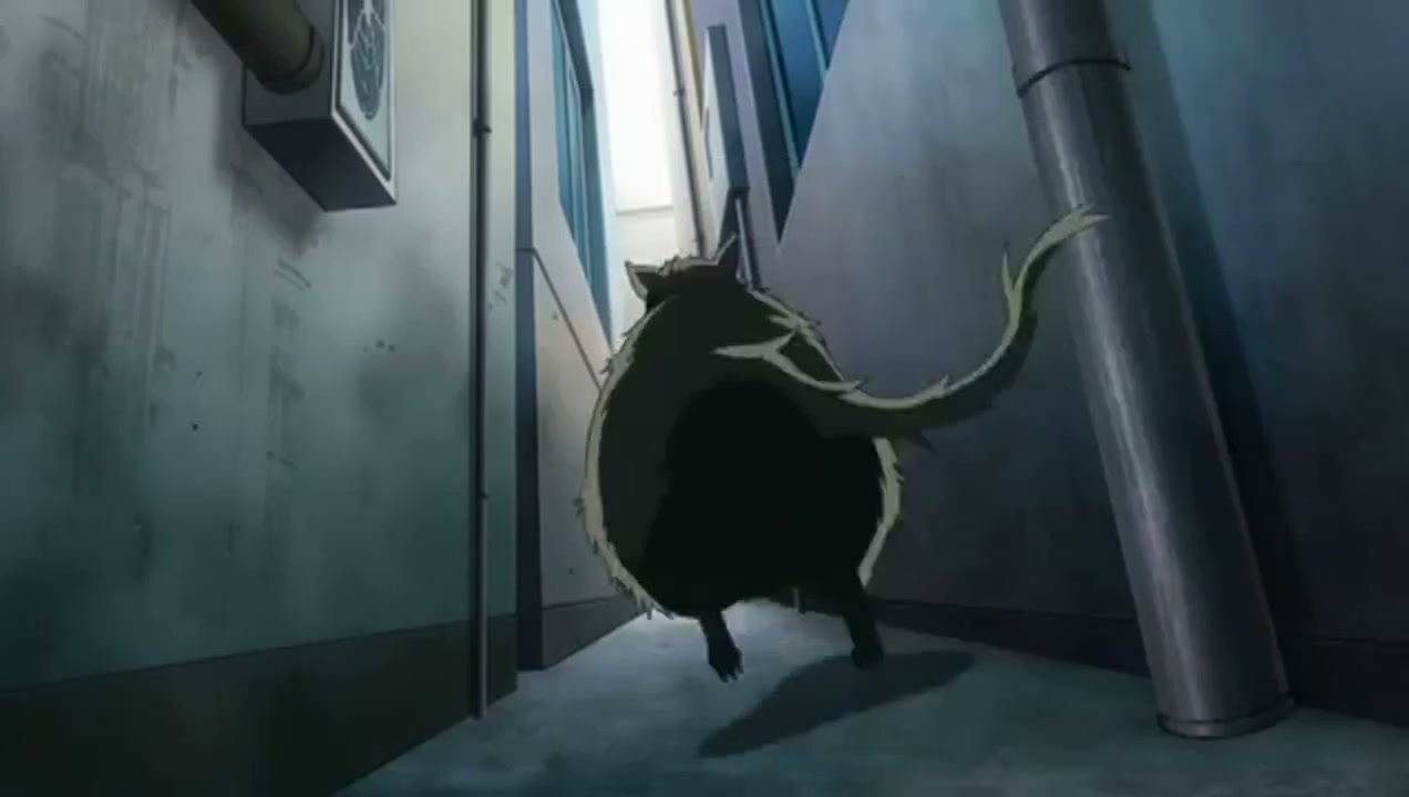 Episódio 011